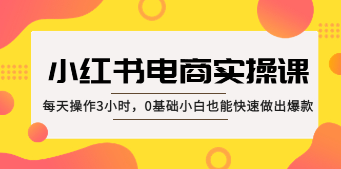 小红书·电商实操课：每天操作3小时，0基础小白也能快速做出爆款！-奇奇网创