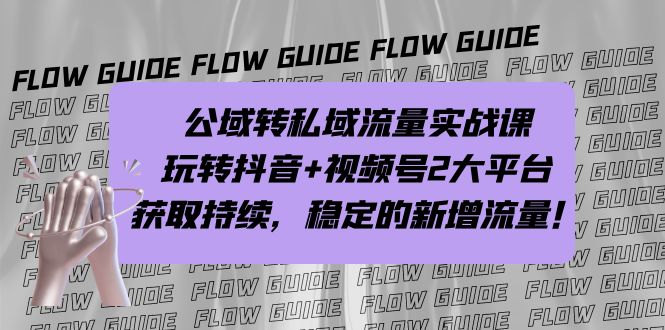 公域转私域流量实战课，玩转抖音+视频号2大平台，获取持续，稳定的新增流量-奇奇网创