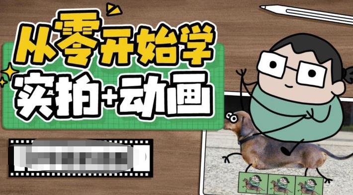 从零开始学实拍加动画，实拍加动画创意教程（49节视频课）-奇奇网创