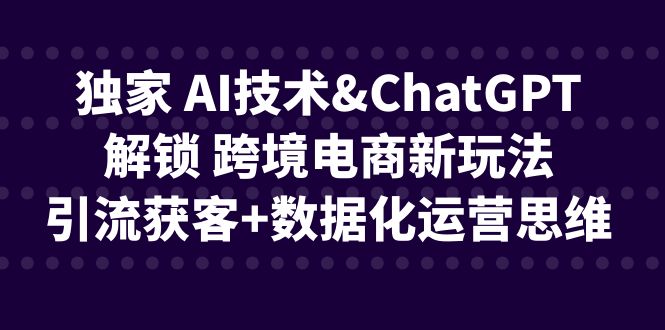 独家 AI技术&ChatGPT解锁 跨境电商新玩法，引流获客+数据化运营思维-奇奇网创