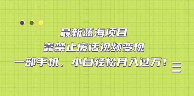 最新蓝海项目，靠禁止废话视频变现，一部手机，小白轻松月入过万！-奇奇网创
