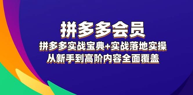 拼多多 会员，拼多多实战宝典+实战落地实操，从新手到高阶内容全面覆盖-奇奇网创