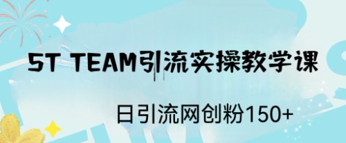 ST TEAM引流实操课，日引流网创粉100+-奇奇网创
