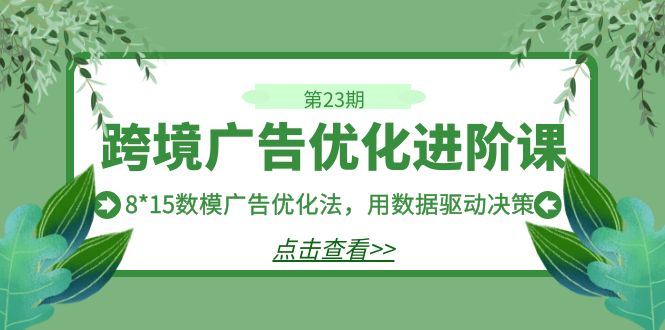 跨境广告·优化进阶课·第23期，8*15数模广告优化法，用数据驱动决策-奇奇网创