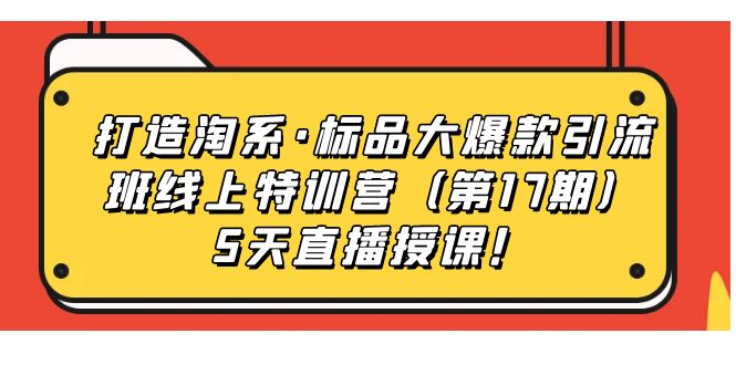 打造淘系·标品大爆款引流班线上特训营（第17期）5天直播授课！-奇奇网创