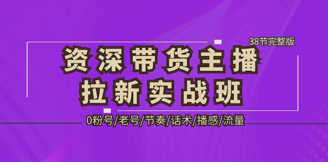 资深·带货主播拉新实战班，0粉号/老号/节奏/话术/播感/流量-38节完整版-奇奇网创