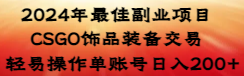 2024年最佳副业项目 CSGO饰品装备交易 轻易操作单账号日入200+-奇奇网创