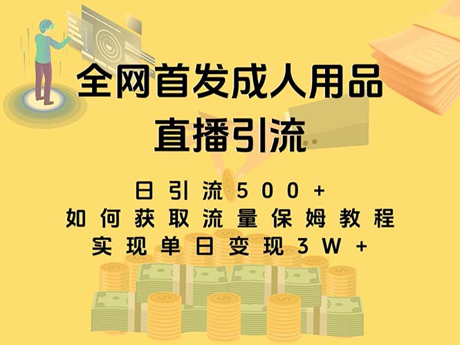 最新全网独创首发，成人用品直播引流获客暴力玩法，单日变现3w保姆级教程-奇奇网创