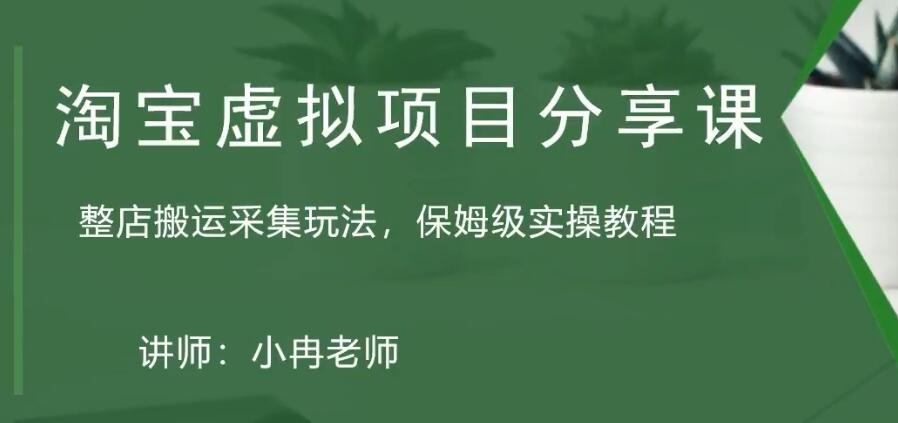 淘宝虚拟整店搬运采集玩法分享课：整店搬运采集玩法，保姆级实操教程-奇奇网创