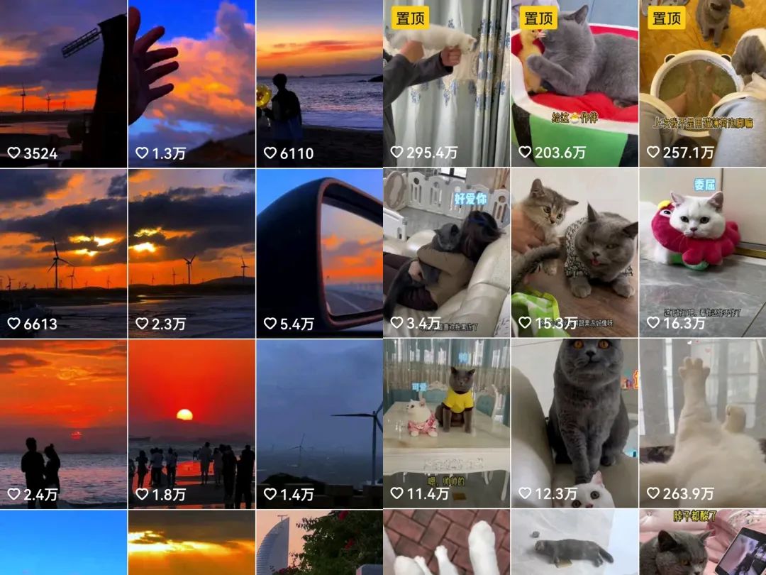 每天收入100+的副业：分享0粉账号变现+育儿直播+百家代书项目思路！-奇奇网创