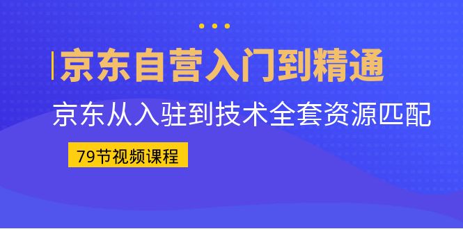 京东自营入门到精通:京东从入驻到技术全套资源匹配(79节课)-奇奇网创