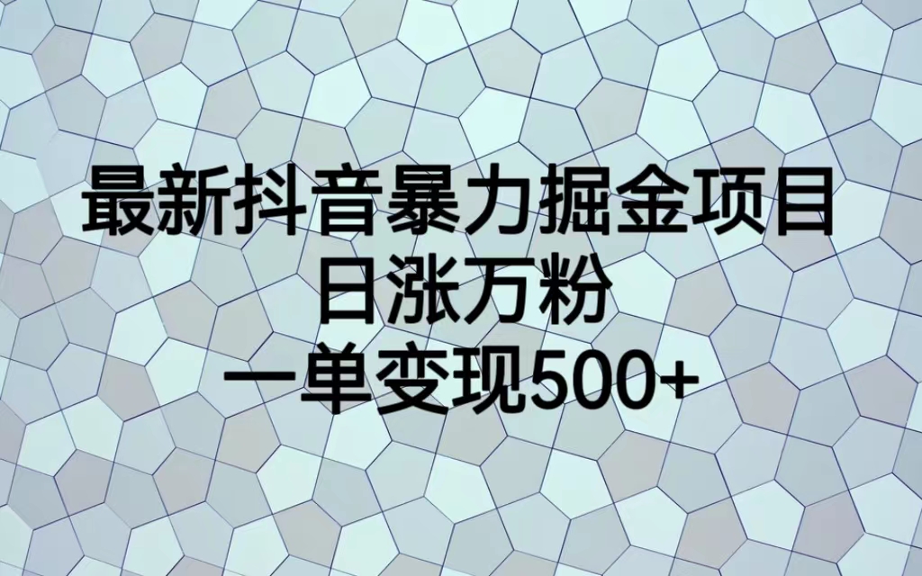 最新抖音暴力掘金项目，日涨万粉，一单变现500+-奇奇网创