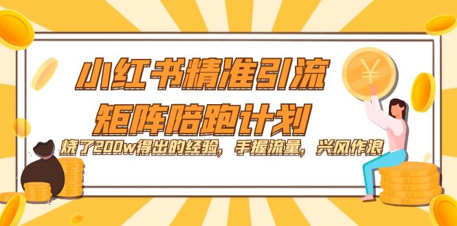 小红书精准引流·矩阵陪跑计划:烧了200w得出的经验,手握流量,兴风作浪!-奇奇网创