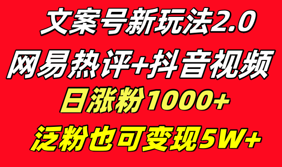 文案号新玩法 网易热评+抖音文案 一天涨粉1000+ 多种变现模式 泛粉也可变现-奇奇网创