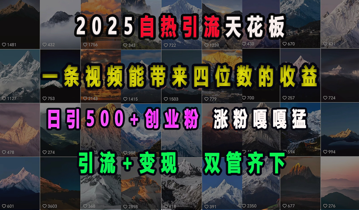 2025自热引流天花板,一条视频能带来四位数的收益,引流+变现双管齐下,日引500+创业粉,涨粉嘎嘎猛-奇奇网创
