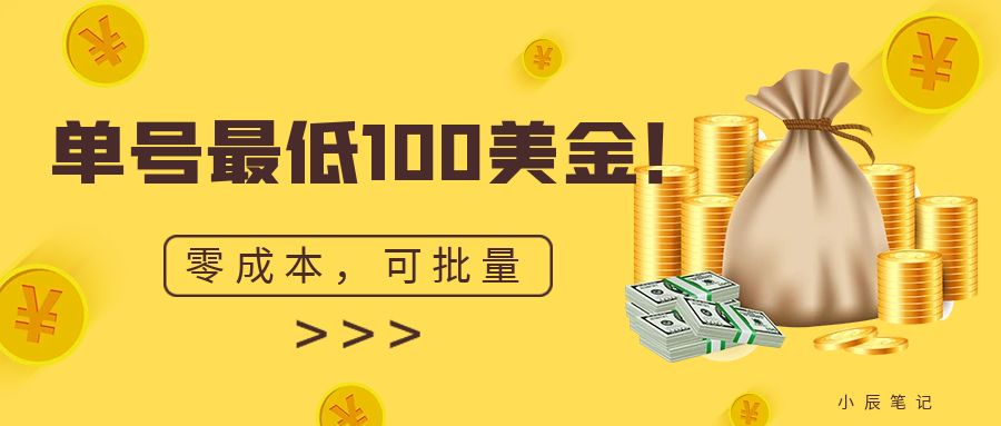 单号最低100美金,零成本,小白无脑操作。可复制,可扩大。-奇奇网创