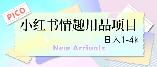 最新小红书情趣用品项目，日入1-4k-奇奇网创