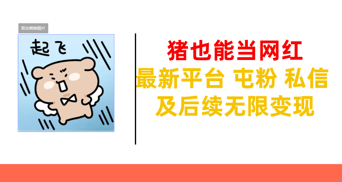 猪也能当网红-最新平台 屯粉 交流 私信 及后续无限变现-奇奇网创