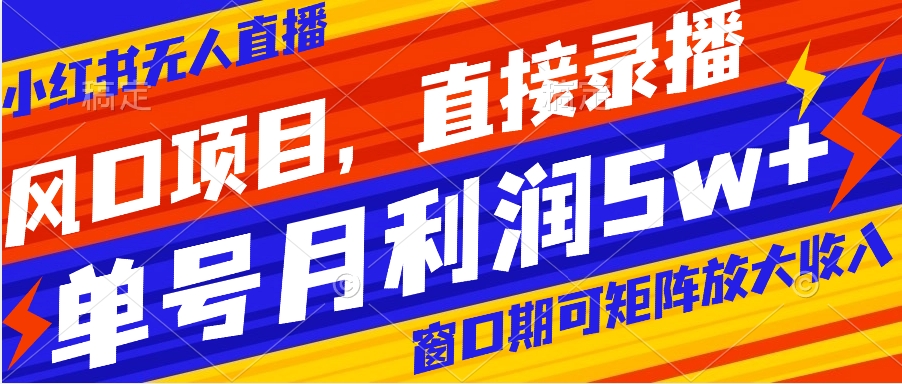 风口项目,小红书无人直播带货,直接录播,可矩阵,月入5w+-奇奇网创