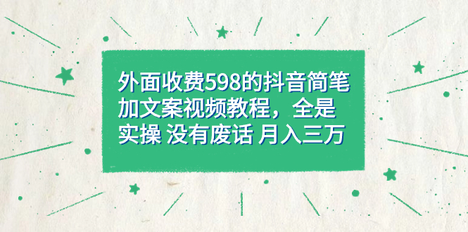外面收费598抖音简笔加文案教程，全是实操 没有废话 月入三万（教程+资料）-奇奇网创