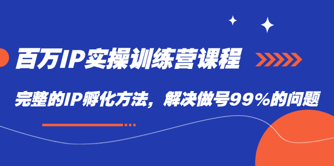 百万IP实战训练营课程，完整的IP孵化方法，解决做号99%的问题-奇奇网创