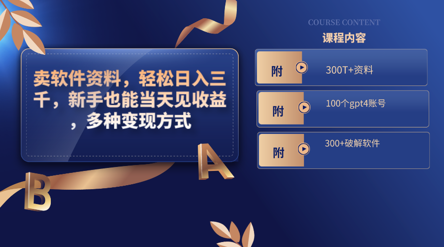 卖软件资料，轻松日入三千，新手也能当天见收益，多种变现方式-奇奇网创