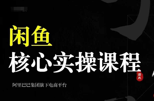 2024闲鱼核心实操课程，从养号、选品、发布、销售，教你做一个出单的闲鱼号-奇奇网创
