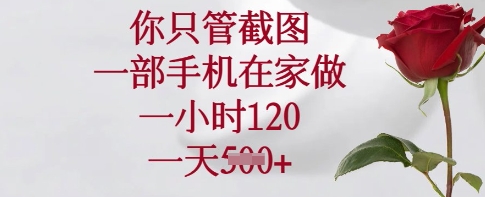 你只管截图，一部手机在家做，一小时120.一天5张【揭秘】-奇奇网创