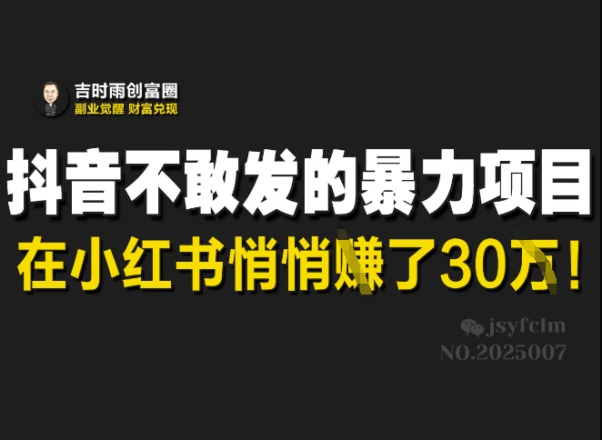 抖音不敢发的暴利项目，在小红书悄悄挣了30W-奇奇网创
