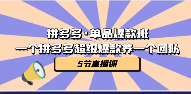 拼多多·单品爆款班，一个拼多多超级爆款养一个团队（5节直播课）-奇奇网创