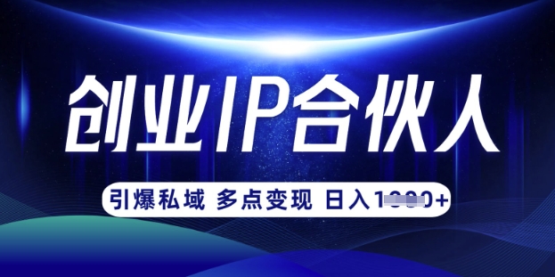 云帆·创业ip合伙人打造3.0，从0到1教你做网创，实现月入过W-奇奇网创