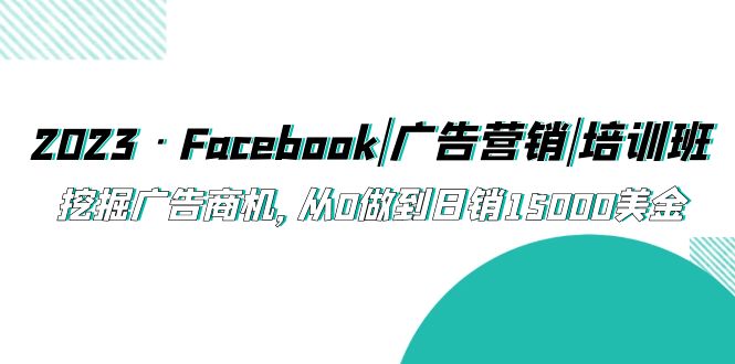 2023·Facebook|广告营销|培训班，挖掘广告商机，从0做到日销15000美金-奇奇网创