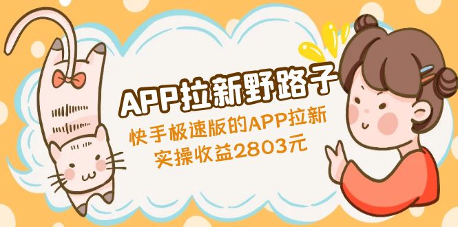 APP拉新野路子：快手极速版的APP拉新赚，实操收益2803元-奇奇网创