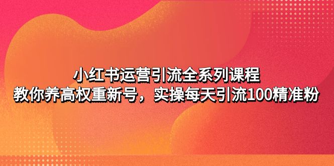 小红书运营引流全系列课程：教你养高权重新号，实操每天引流100精准粉-奇奇网创