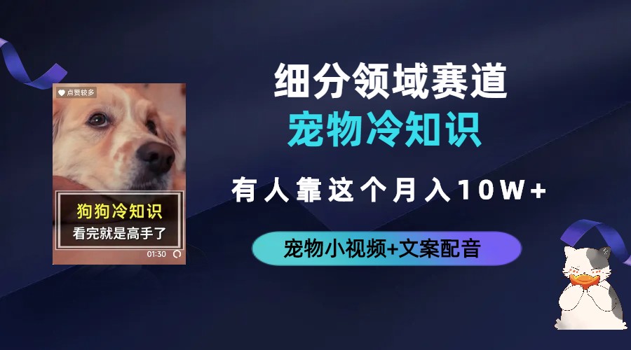 不起眼的抖音细分赛道-宠物冷知识，一段宠物视频配文案，有人靠这个月入10w-奇奇网创