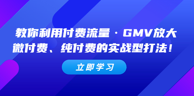 教你利用付费流量·GMV放大,微付费、纯付费的实战型打法!-奇奇网创