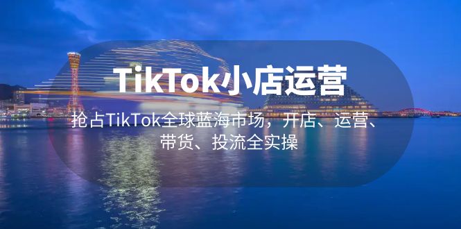TikTok小店运营 抢占TikTok全球蓝海市场，开店、运营、带货、投流全实操-奇奇网创