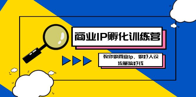商业IP-孵化训练营新版，教你做商业Ip，做好人设，流量搞好钱-奇奇网创