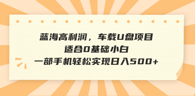 蓝海高利润，车载U盘项目，适合0基础小白，一部手机轻松实现日入500+-奇奇网创