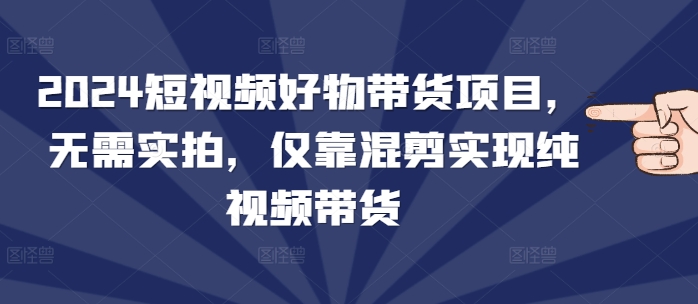 2024短视频好物带货项目，无需实拍，仅靠混剪实现纯视频带货-奇奇网创