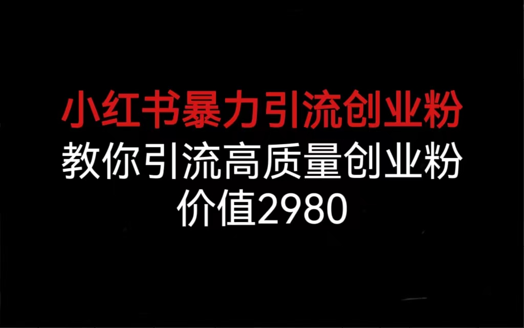 小红书暴力引流创业粉，教你引流高质量创业粉，价值2980-奇奇网创
