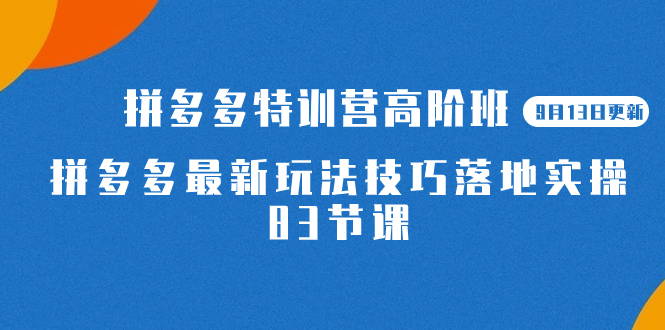 2023拼多多·特训营高阶班【9月19日更新】拼多多最新玩法技巧落地实操-83节-奇奇网创
