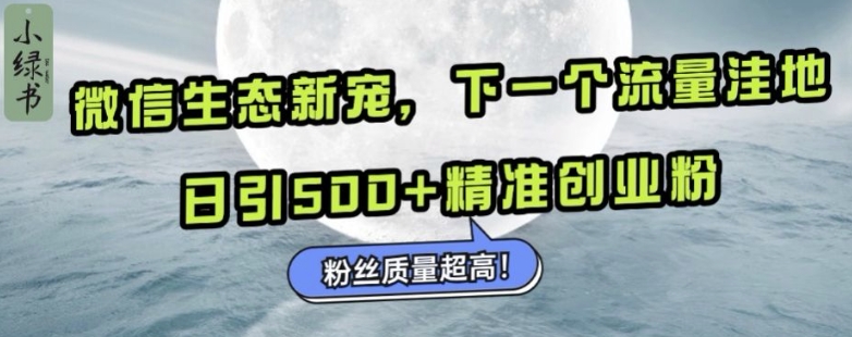 微信生态新宠小绿书:下一个流量洼地,日引500+精准创业粉,粉丝质量超高-奇奇网创