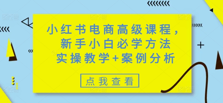 小红书电商高级课程，新手小白必学方法，实操教学+案例分析-奇奇网创