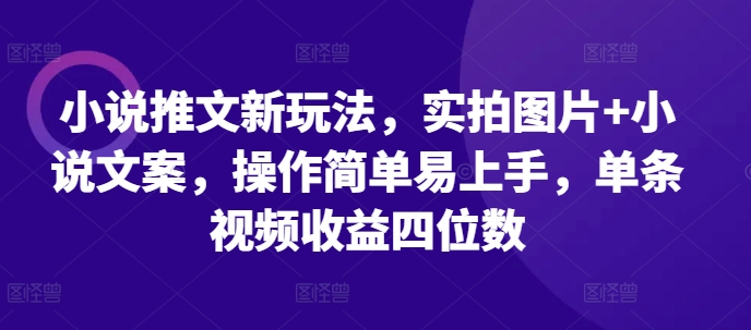 小说推文新玩法，实拍图片+小说文案，操作简单易上手，单条视频收益四位数-奇奇网创