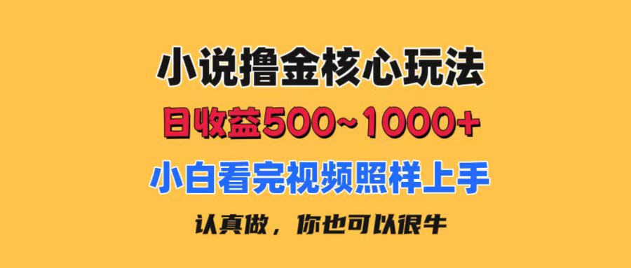 小说撸金核心玩法，日收益500-1000+，小白看完照样上手，0成本有手就行-奇奇网创