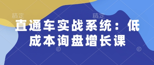 直通车实战系统：低成本询盘增长课，让个人通过技能实现升职加薪，让企业低成本获客，订单源源不断-奇奇网创