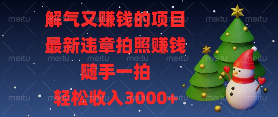最新违章拍照赚钱，随手一拍，解气又赚钱的项目，轻松收入3000+-奇奇网创