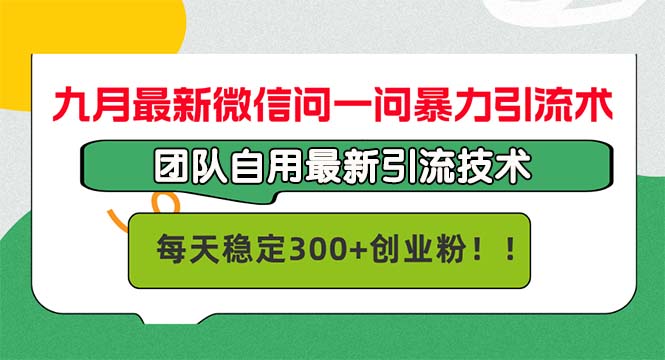 九月最新微信问一问暴力引流术，团队自用引流术，每天稳定300+创…-奇奇网创