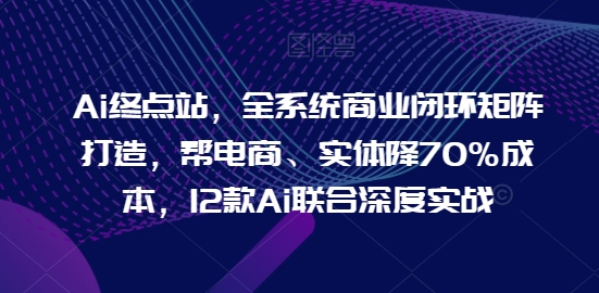 Ai终点站，全系统商业闭环矩阵打造，帮电商、实体降70%成本，12款Ai联合深度实战-奇奇网创